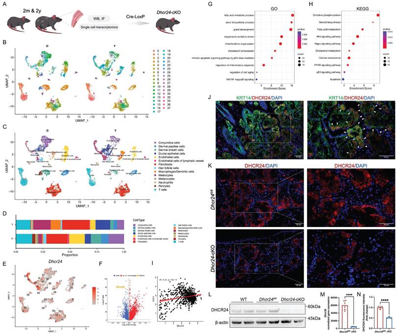 Int J Biol Sci Image