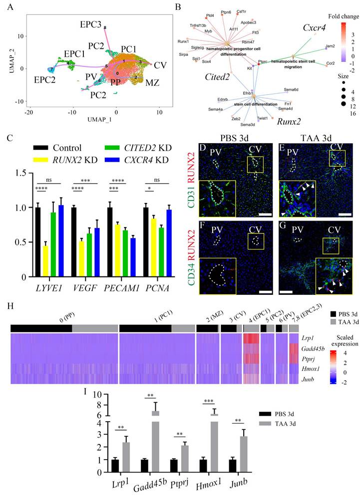 Int J Biol Sci Image