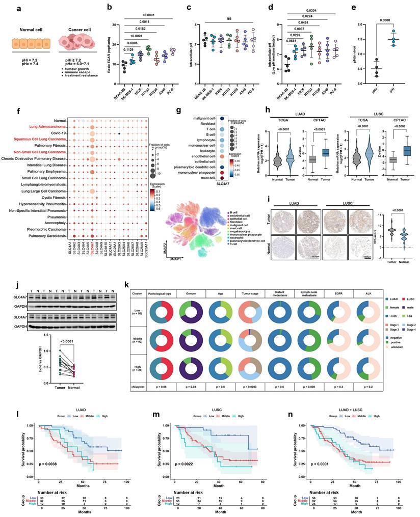 Int J Biol Sci Image