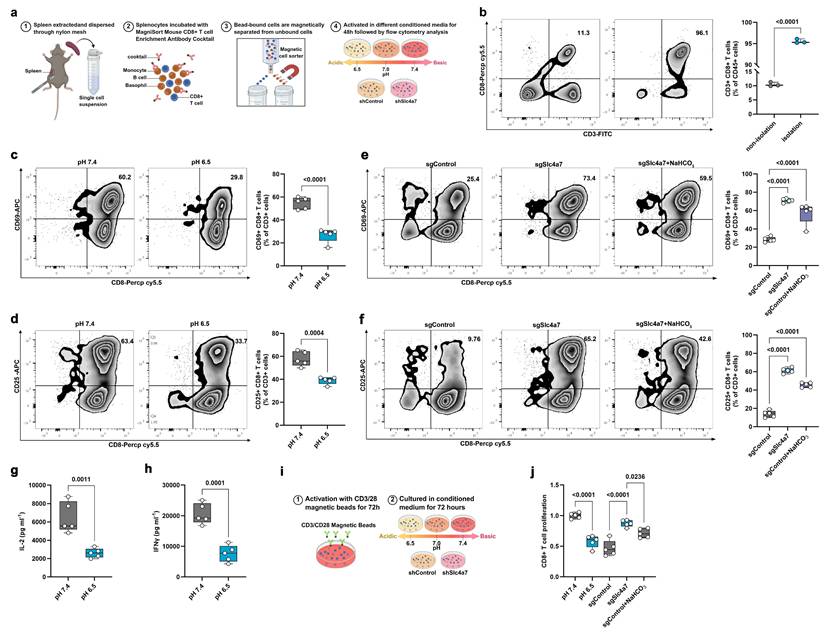 Int J Biol Sci Image