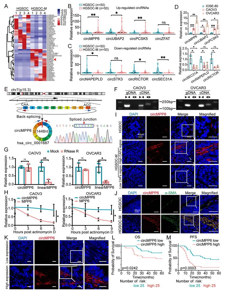 Int J Biol Sci Image