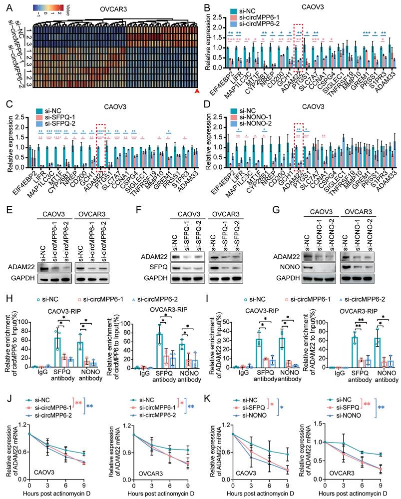 Int J Biol Sci Image
