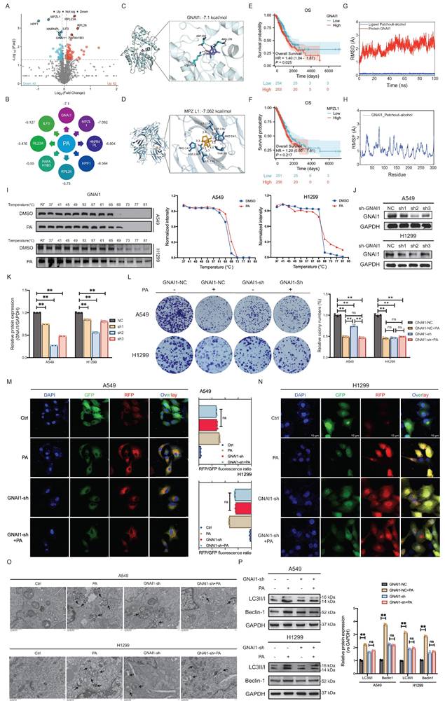 Int J Biol Sci Image