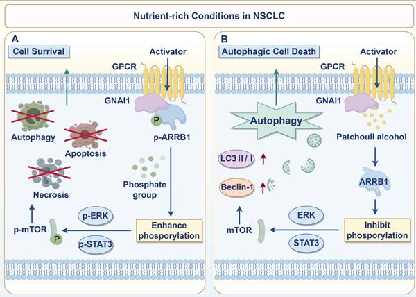 Int J Biol Sci Image