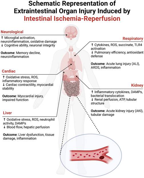 Int J Biol Sci Image