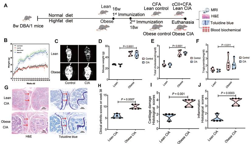 Int J Biol Sci Image