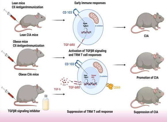 Int J Biol Sci Image
