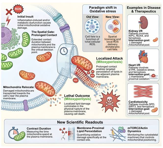Int J Biol Sci Image