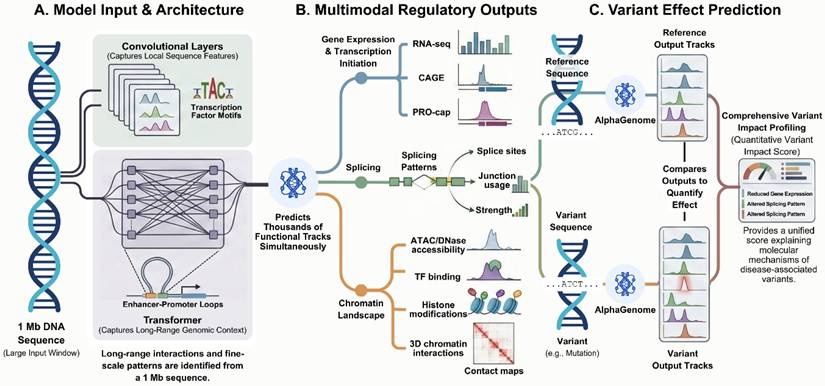 Int J Biol Sci Image