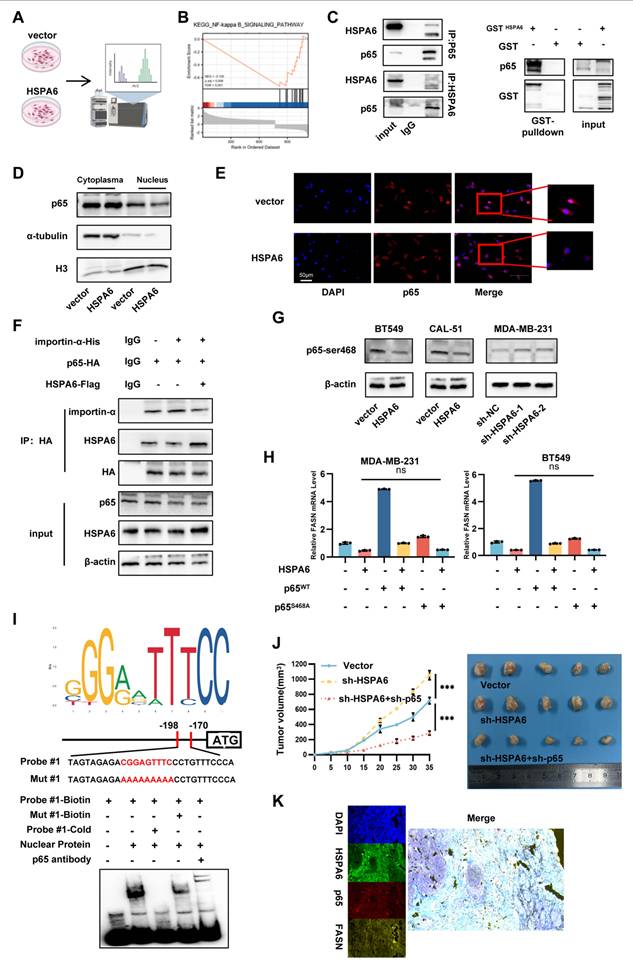 Int J Biol Sci Image