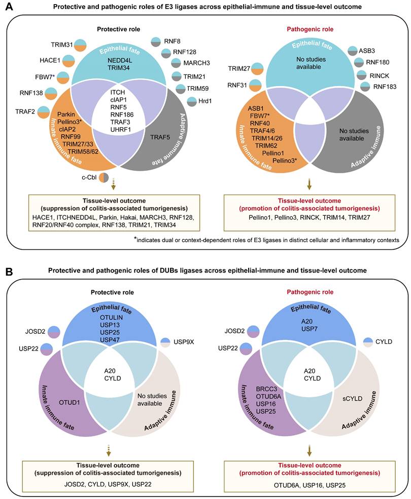 Int J Biol Sci Image