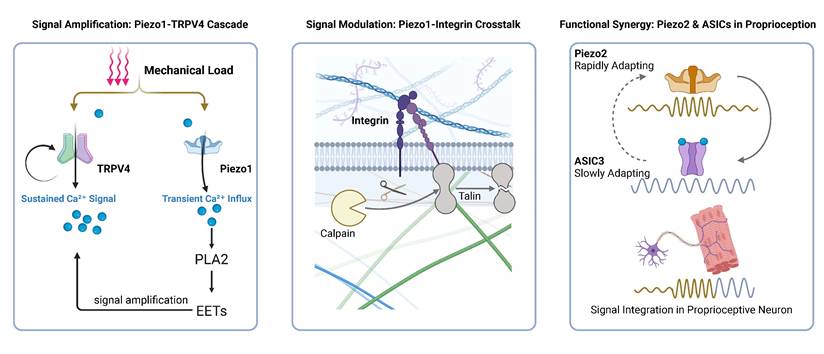 Int J Biol Sci Image