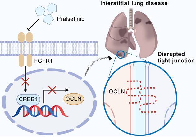 Int J Biol Sci Image