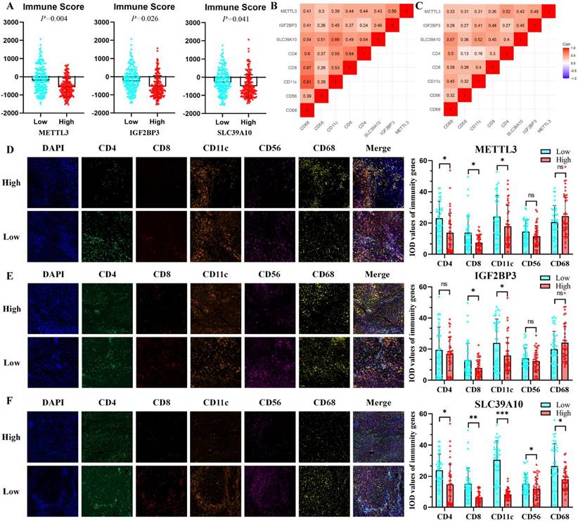 Int J Biol Sci Image