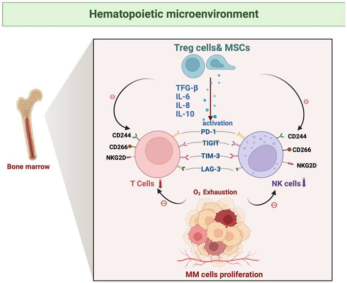 Int J Biol Sci Image