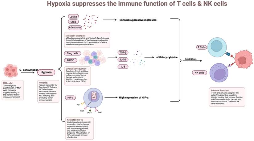 Int J Biol Sci Image