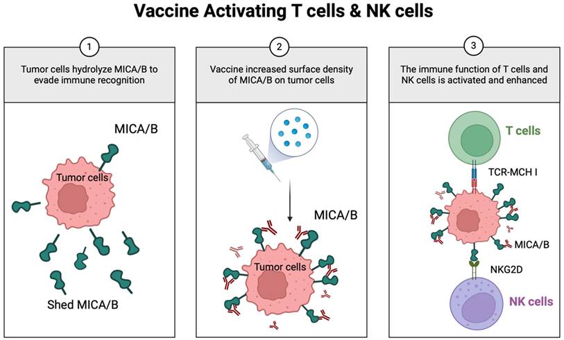 Int J Biol Sci Image