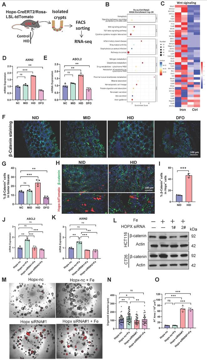 Int J Biol Sci Image
