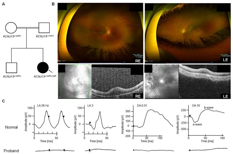 Int J Biol Sci Image