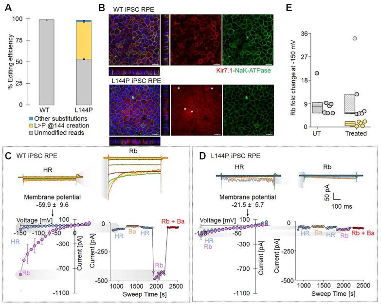 Int J Biol Sci Image