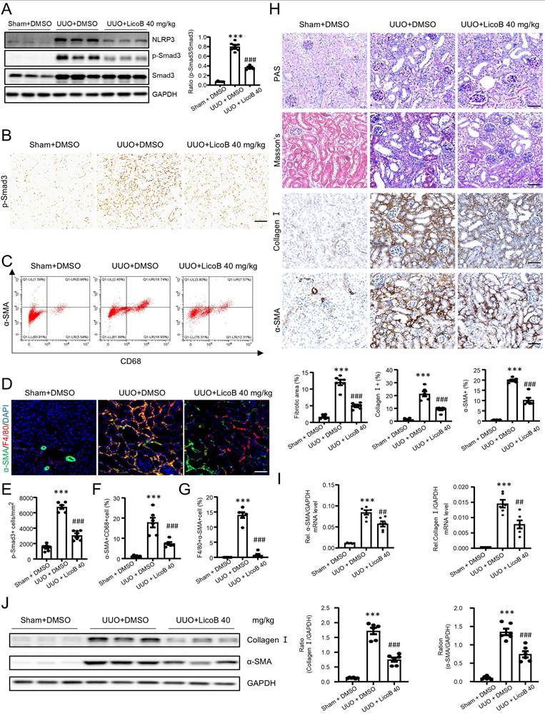 Int J Biol Sci Image