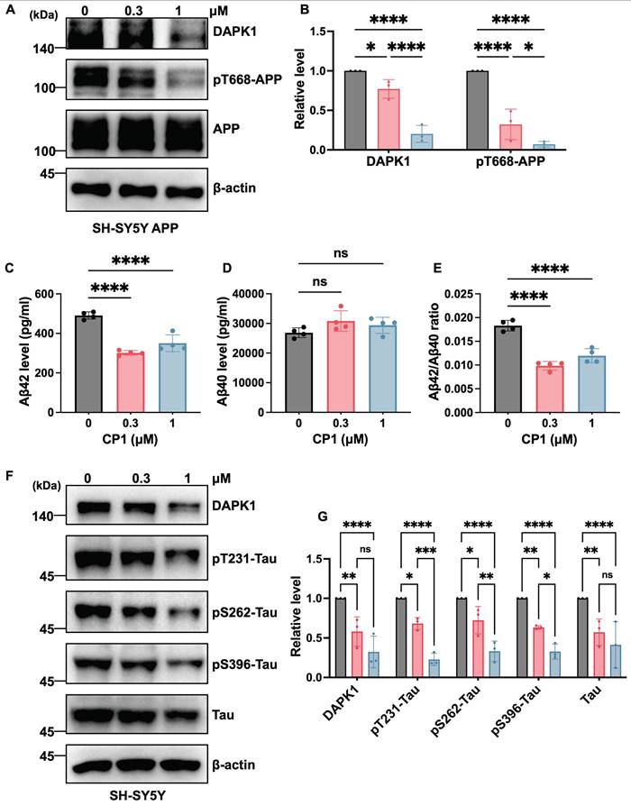 Int J Biol Sci Image