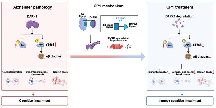 Int J Biol Sci Image