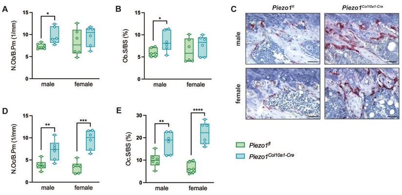 Int J Biol Sci Image