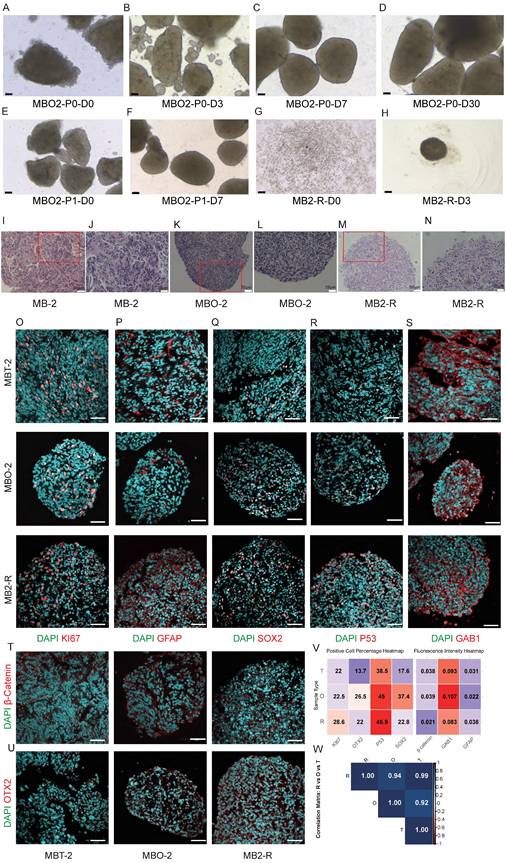 Int J Biol Sci Image