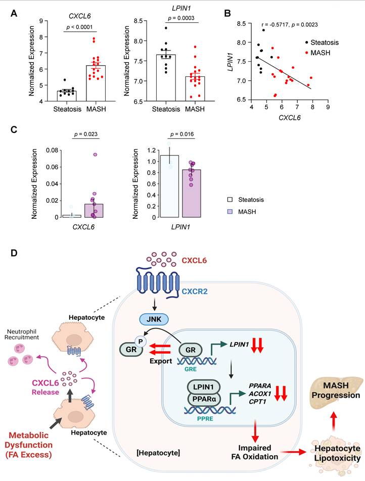 Int J Biol Sci Image