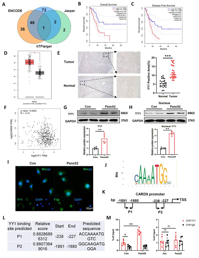 Int J Biol Sci Image