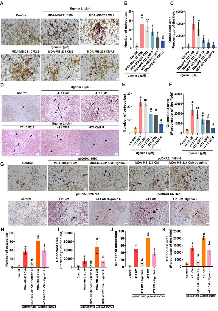 Int J Biol Sci Image