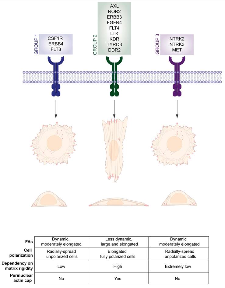 Int J Biol Sci Image