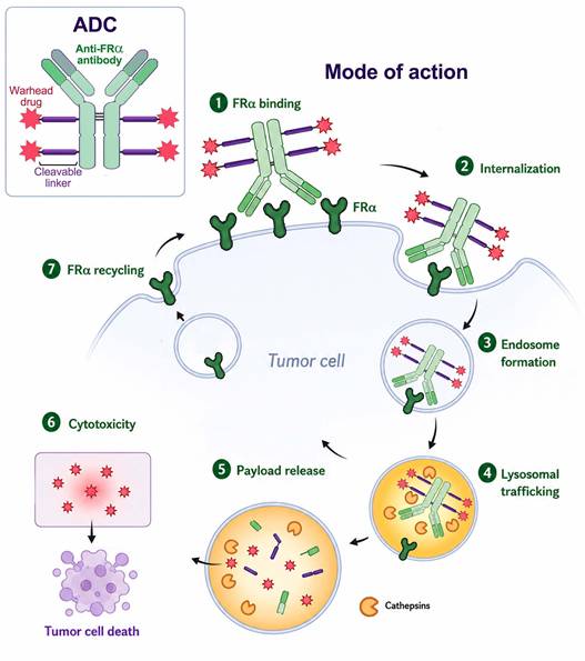 Int J Biol Sci Image