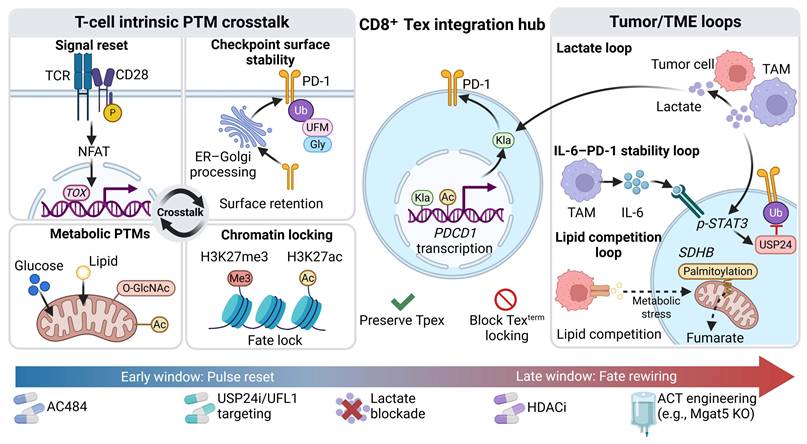 Int J Biol Sci Image