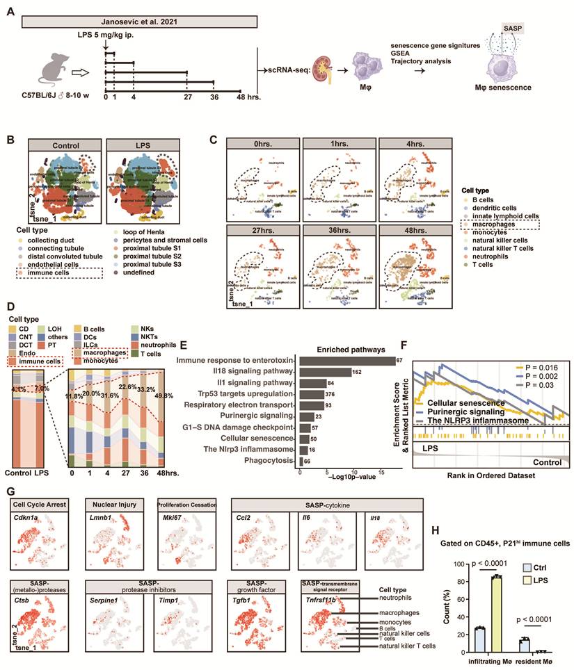 Int J Biol Sci Image