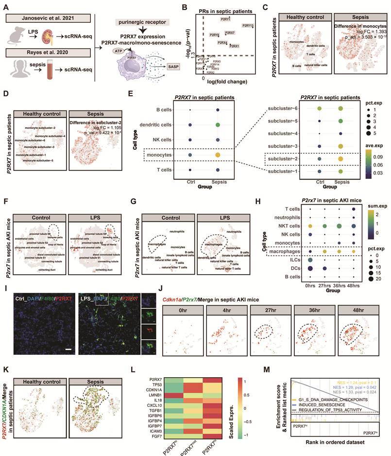Int J Biol Sci Image