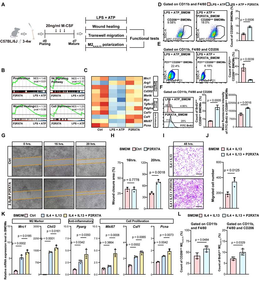 Int J Biol Sci Image