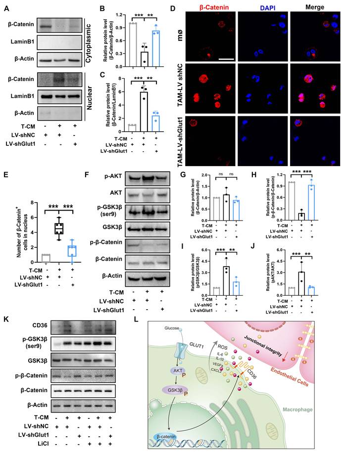 Int J Biol Sci Image