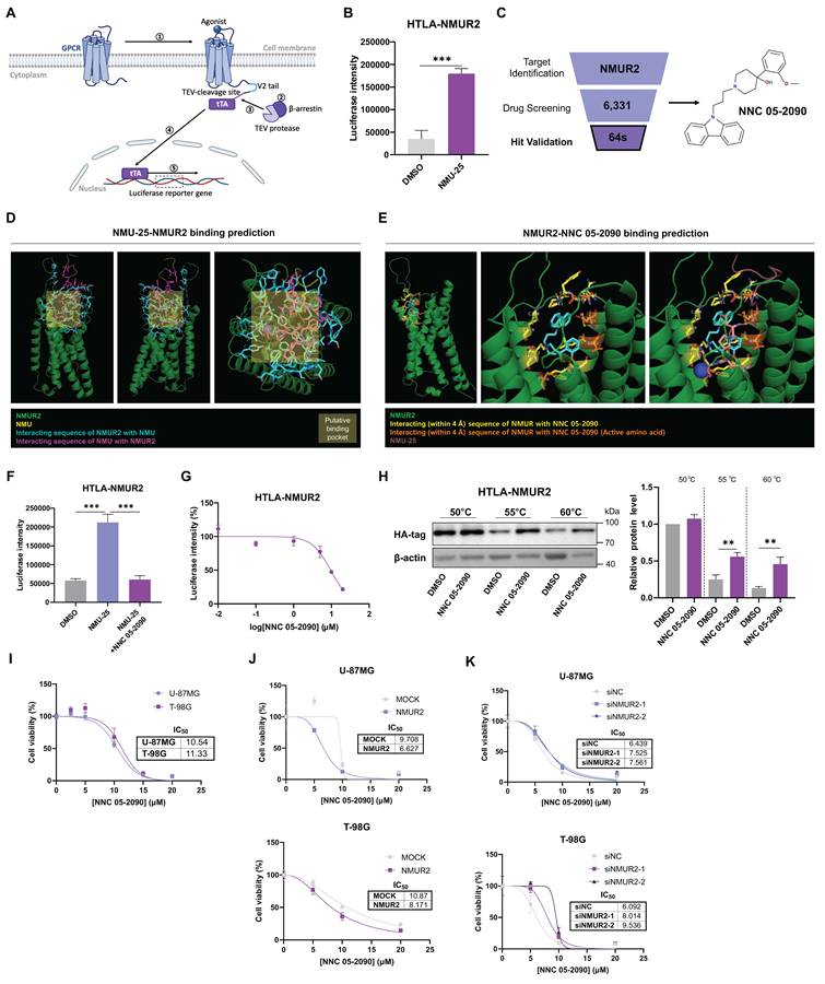 Int J Biol Sci Image