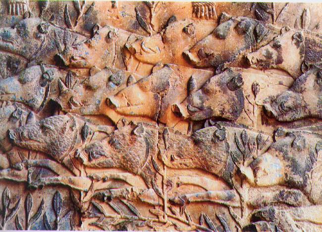 A sassanid rock relief of boar hunting