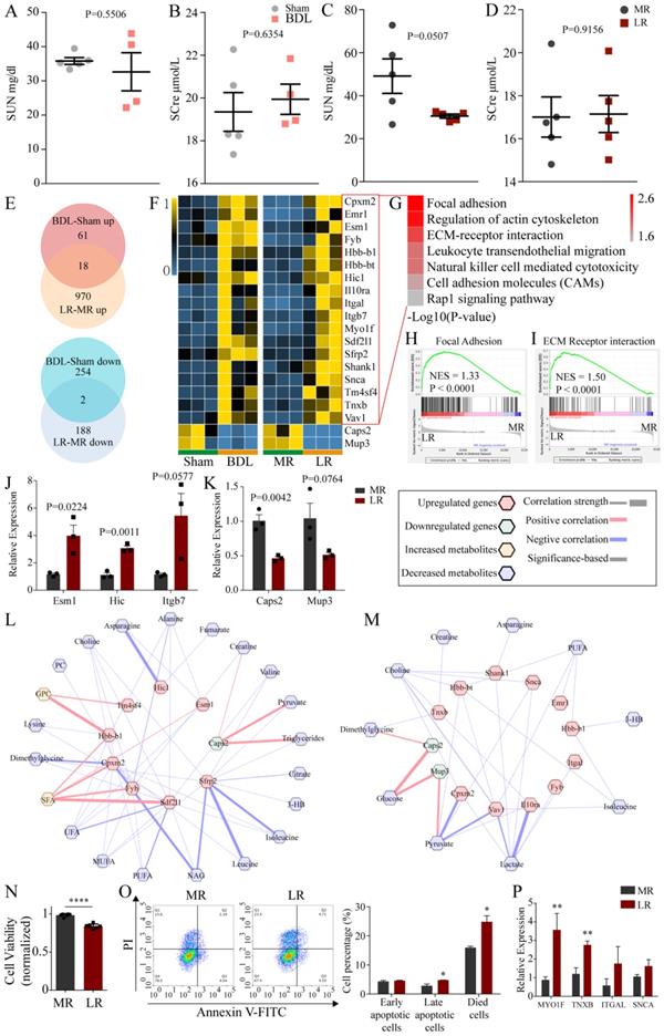 Potential Crosstalk between Liver and Extra-liver Organs in Mouse ...