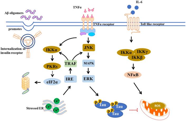 Int J Biol Sci Image