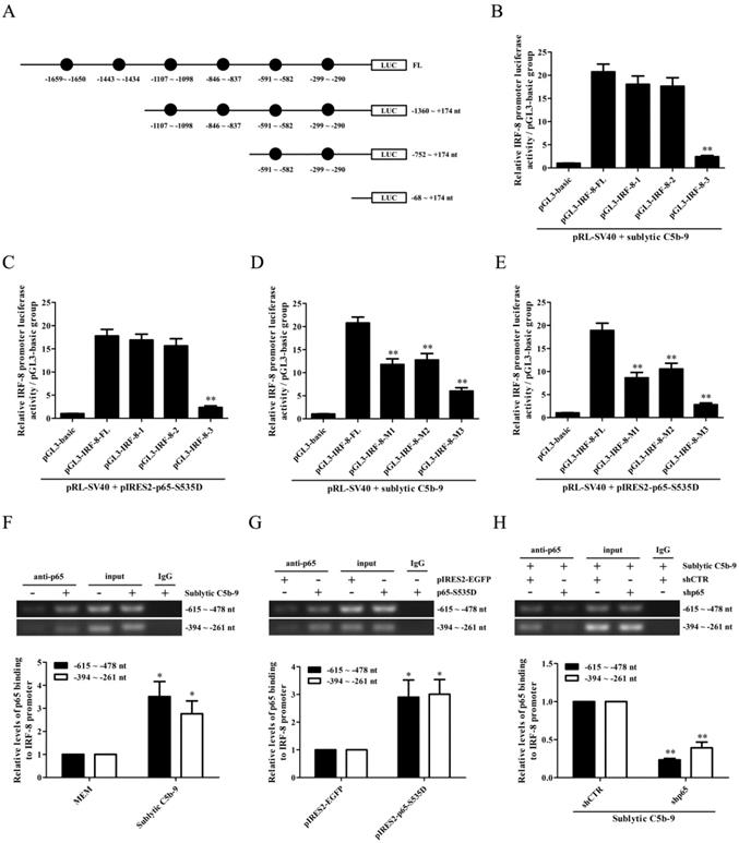 Sublytic C5b-9 Induces CCL3/4 Production and Macrophage Accumulation in ...