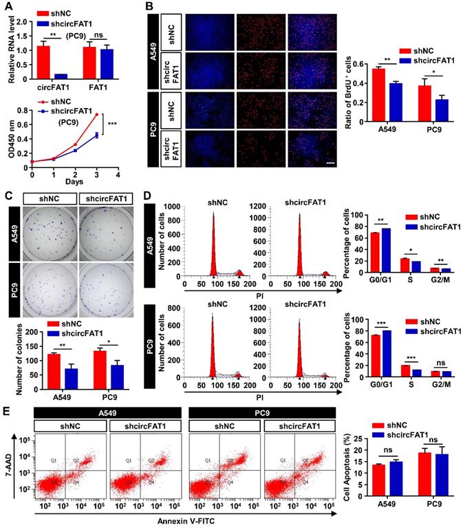 Int J Biol Sci Image