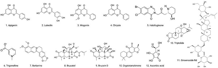 Int J Biol Sci Image