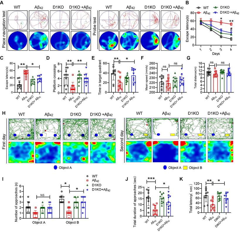 β-amyloid binds to microglia Dectin-1 to induce inflammatory response ...