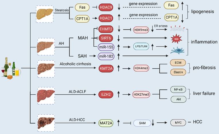 Unraveling the Complex Interplay between Epigenetics and Immunity in ...