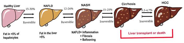 The Role of Nuclear Receptors in the Pathogenesis and Treatment of Non ...