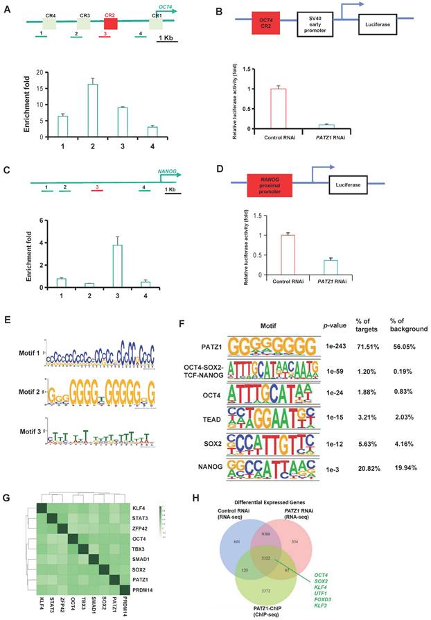Int J Biol Sci Image